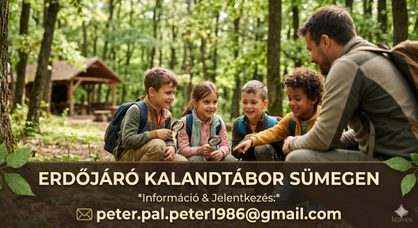 Erdőjáró Kalandtábor Sümegen – Igazi élmények a képernyő helyett (2026 Nyár)