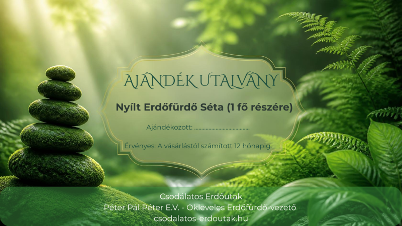 Nyílt Erdőfürdő Séta Ajándékutalvány (1 fő részére)